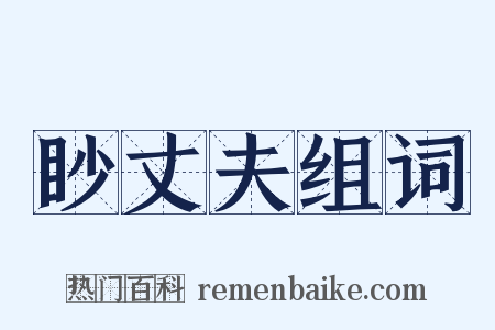 眇丈夫组词是什么意思的图片